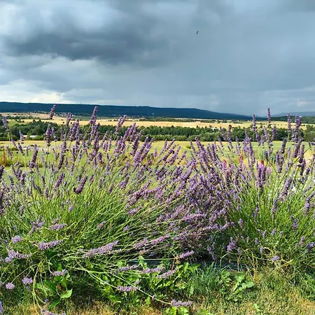 Panorama House Brdy Prázdninový dům Příbram