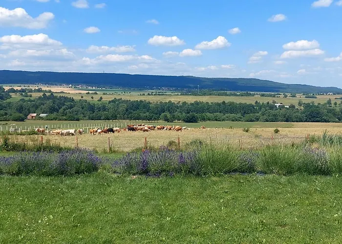 Prázdninový dům Panorama House Brdy