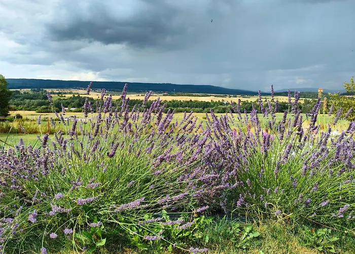 Panorama House Brdy 펜션 Příbram